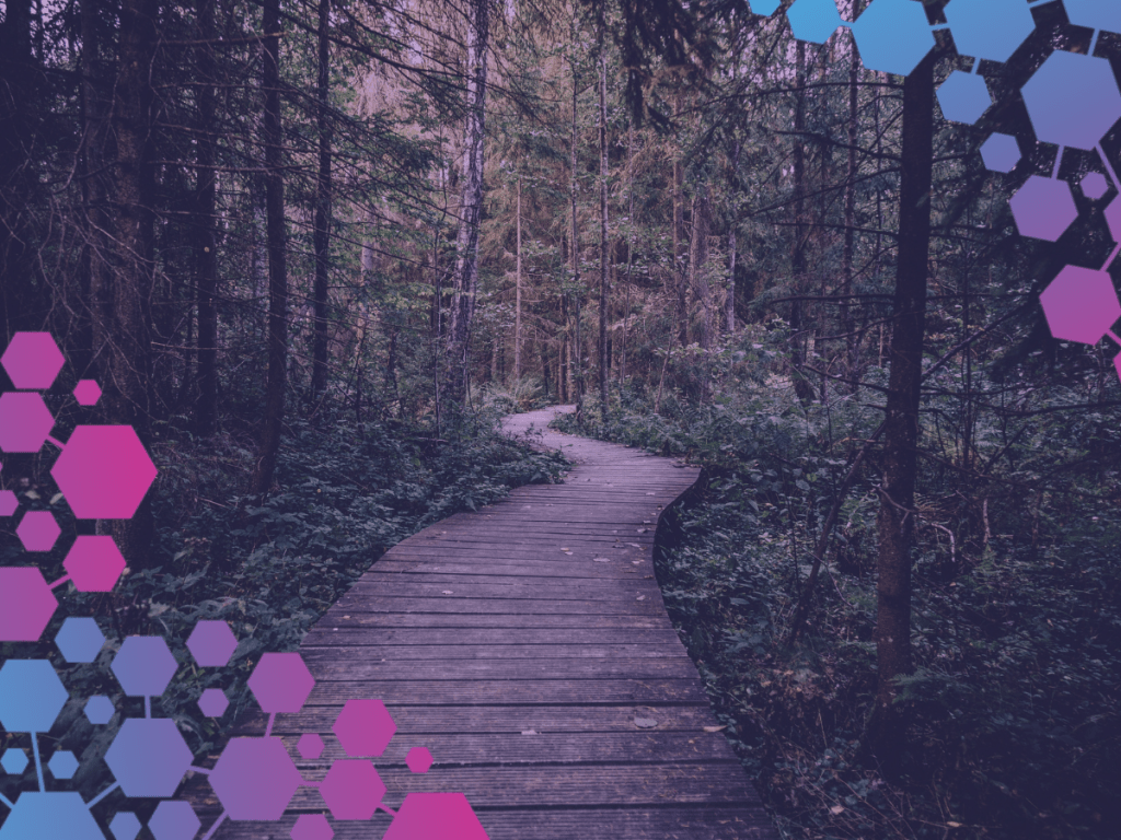 Career: Salesforce Consultant vs Admin : Part&nbsp;One